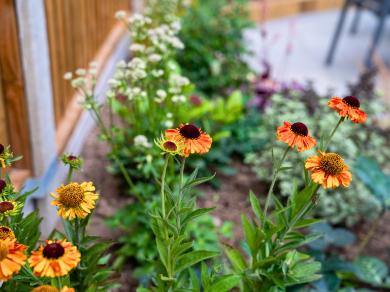 Modern Garden Design Trends Homeowners Are Loving This Year: Transform Your Outdoor Space with Style
